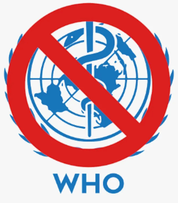 Clarifying The Confusion With the World Health Organization Treaties vs. Amendments vs. Agenda 2030 – Interview with James Roguski